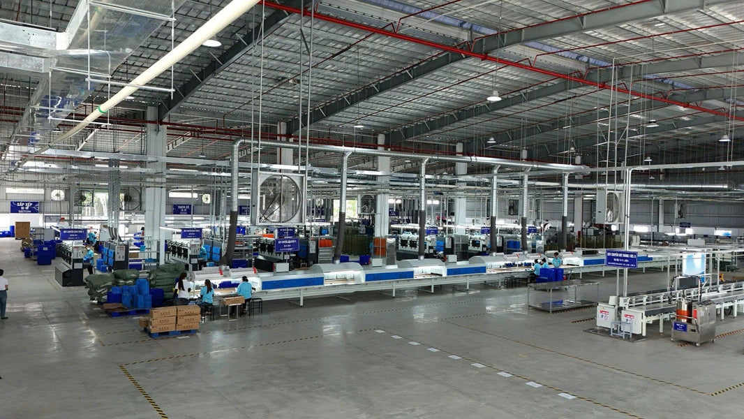 Vietnam Insole Manufacturing Datong and Bangni