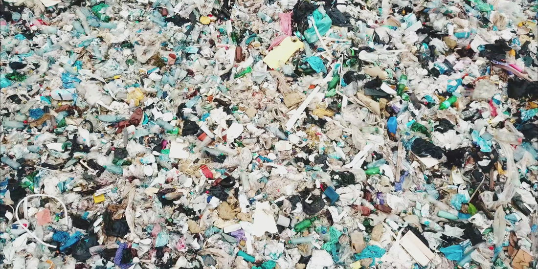 Sustainable Insole Materials, Eco-friendly Shoe Inserts